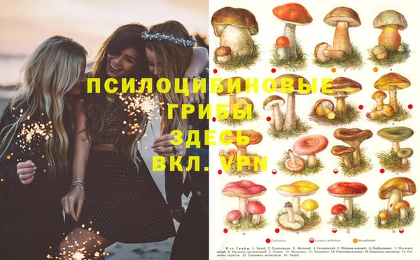 прущая мука Белокуриха
